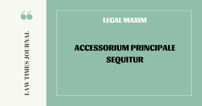 Accessorium Principale Sequitur