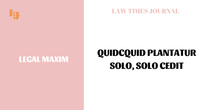 Quidcquid plantatur solo, solo cedit